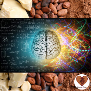 wpływ kakao na mózg człowieka