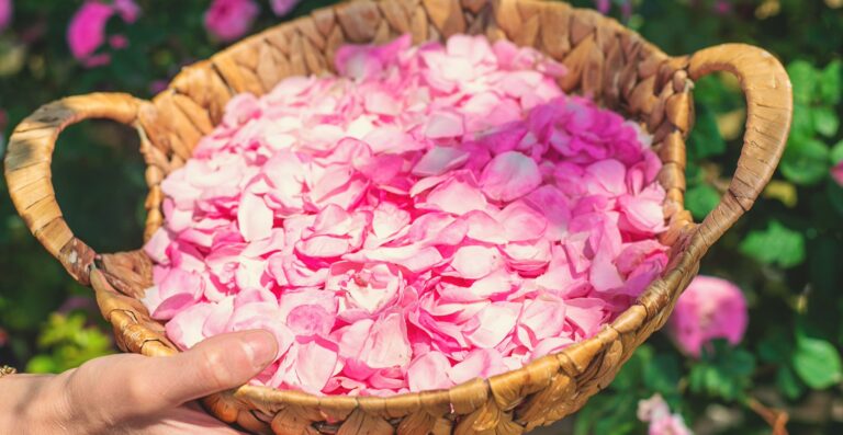 ceremonia-kwiatow-kakao-wesele