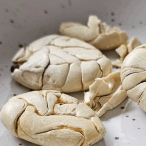 Pataxte-gracias-cacao-biale-kakao